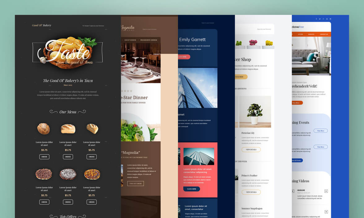 Email Template Designs